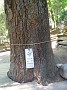 DSCN0769