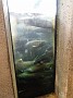 DSCN0787