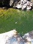 DSCN0791