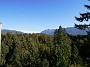 DSCN0811