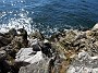 DSCN0857