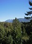DSCN0893