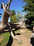 DSCN0899