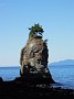 DSCN0915