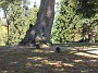 DSCN0928