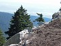 DSCN0978