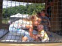 IMAG0477