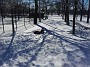 20130209_122815