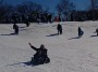 IMAG0183