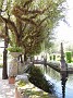 DSCN1285