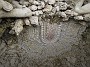 DSCN1295