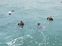DSCN1385