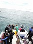 DSCN1390