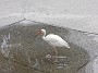 DSCN1435
