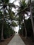 DSCN1436