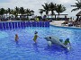 DSCN0578