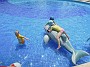 DSCN0584
