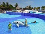 DSCN0597