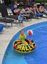 DSCN0601