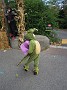 DSCN1693