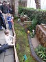 DSCN0226