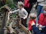 DSCN0236