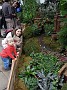 DSCN0241