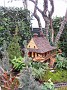 DSCN0254