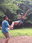 20140727_135548