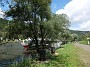 DSCF1246