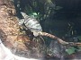 20140627_153611