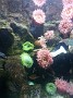 20140627_155910