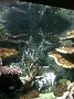 20140627_160231