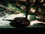 20140627_161255
