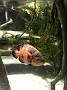 20140627_161359