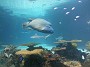 20140627_164607