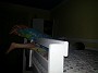 20140507_001151