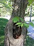 20140517_103239