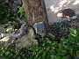 20140312_080915