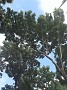 20140314_093541