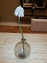 20140317_212305