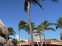 DSCN2037