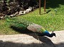 DSCN2050