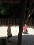 DSCN2063