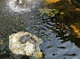 DSCN2069