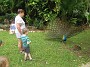 DSCN2156
