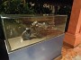 DSCN2173