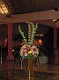 DSCN2184