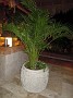 DSCN2188