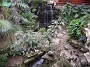 DSCN2219